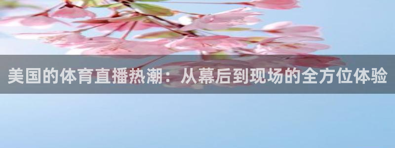 斗球在线观看