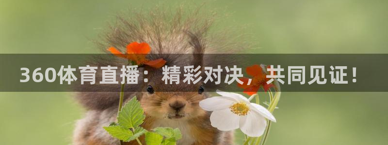 类似斗球直播的软件