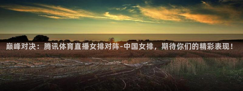 斗球体育直播在线观看电脑版免费