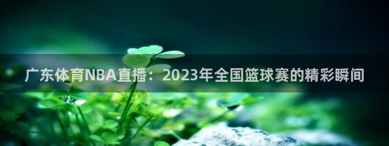 斗球比赛直播免费观看