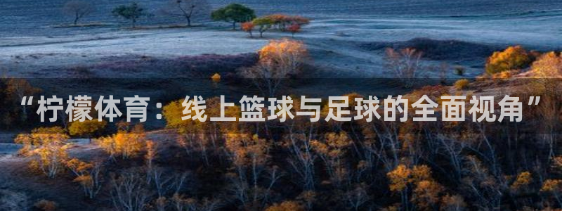 斗球在线直播观看nba：“柠檬体育：线上篮球与足球的全面视角”