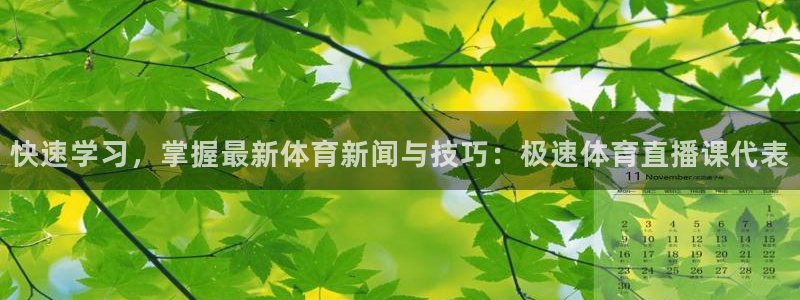 斗球体育直播nba：快速学习，掌握最新体育新闻与技巧：极速体育直播课代表